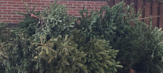 Kerstbomenstapel